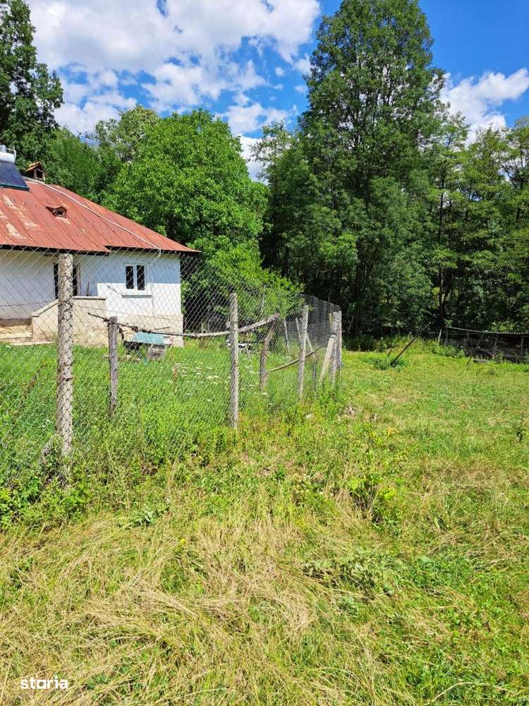 Vanzare teren intravilan+casă bătrânească, zonă turistică, Novac - Imagine principală: 4/12