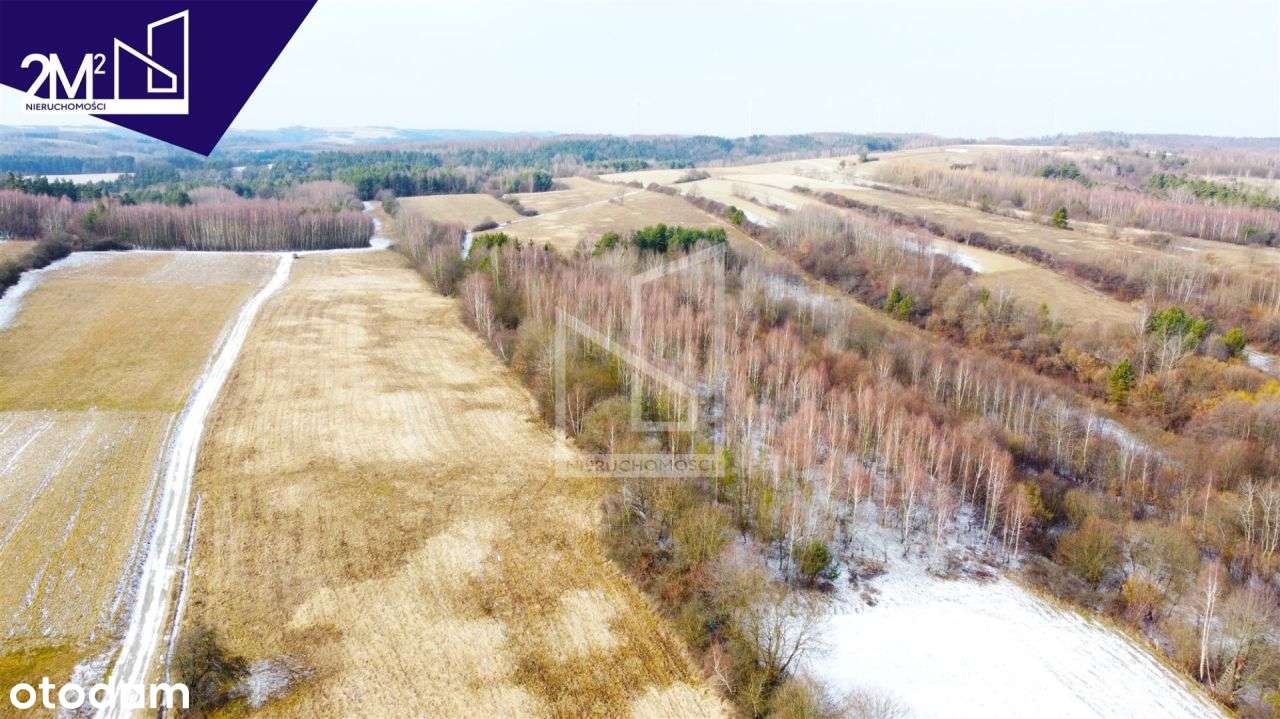 Działki rolne ( 2ha ) na sprzedaż w Łubnie! - Pełny obrazek: 5/7