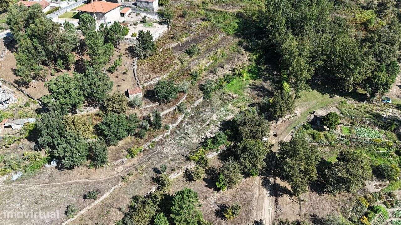 Moradia T3 / Marco de Canaveses, Penhalonga e Paços de Gaiolo - Grande imagem: 5/5