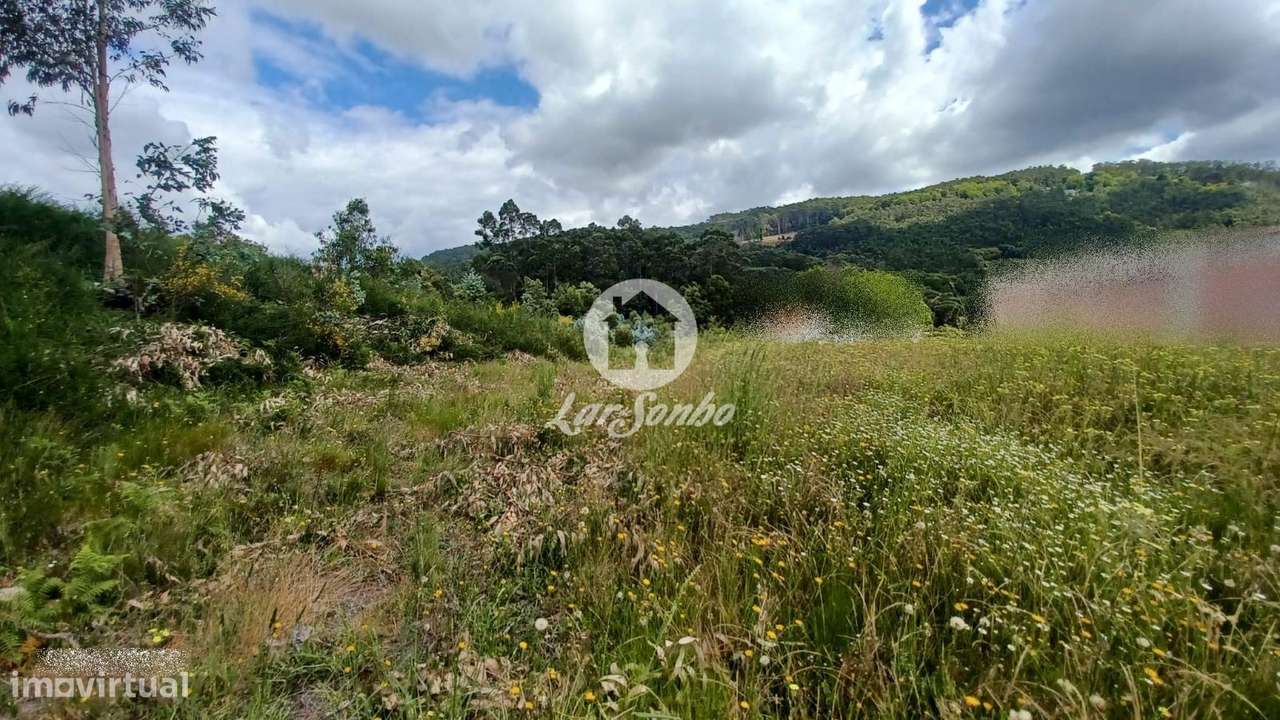 Terreno Urbano de 4.495m2 em Couto S. Miguel, Sto. Tirso - Grande imagem: 2/11