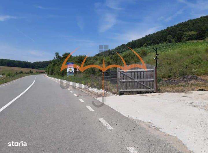 2 Terenuri de vanzare  intravilan Aschileul Mic, unul de 5.292m², unul - Imagine principală: 4/9