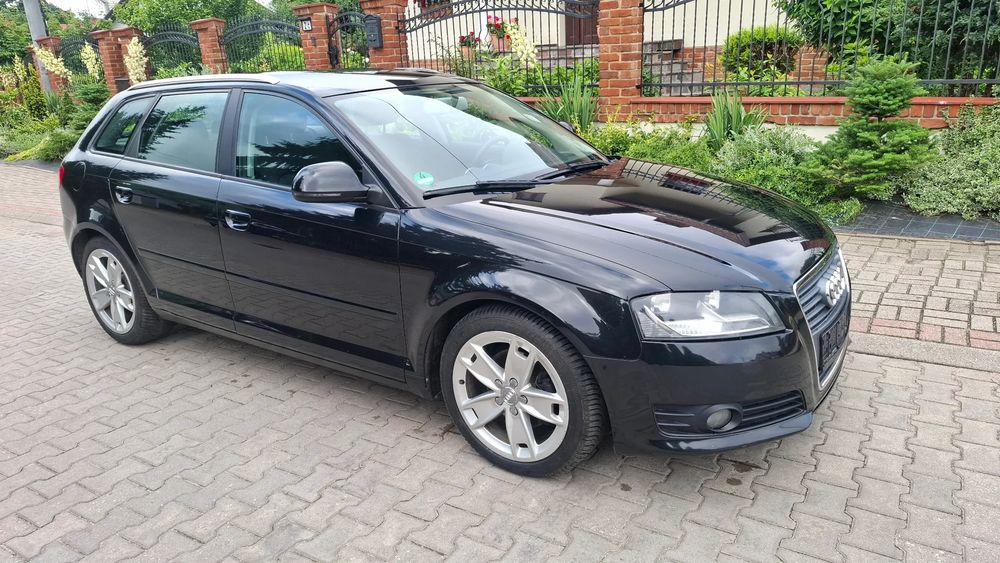 Audi A3 8P (2003-2012) 2.0 TDI Ambiente 2009