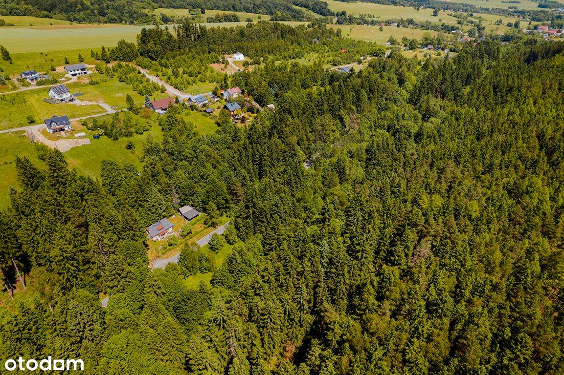 Działki budowlane przy Parku Narodowym Gór Stołowych - Pełny obrazek: 4/14