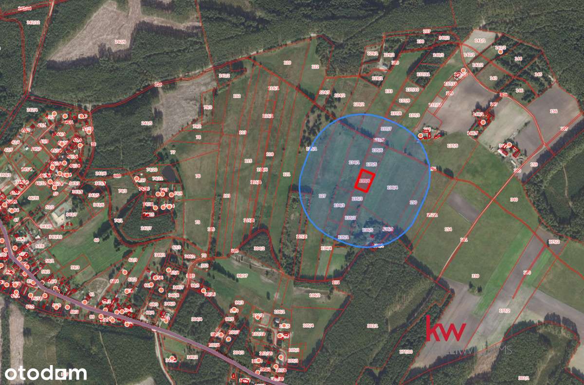 Działka 2457 m² z potencjałem zabudowy - Pełny obrazek: 4/6
