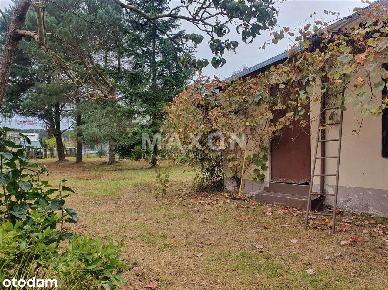 ✨Nieruchomość na sprzedaż, Ziemiary, Bolimów✨ - Pełny obrazek: 2/9