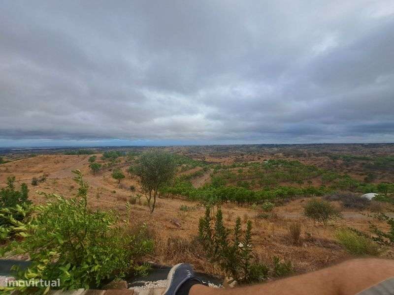 Venda terreno rustico 5,6 ha, com pinhal e árvores diversas - Grande imagem: 4/10