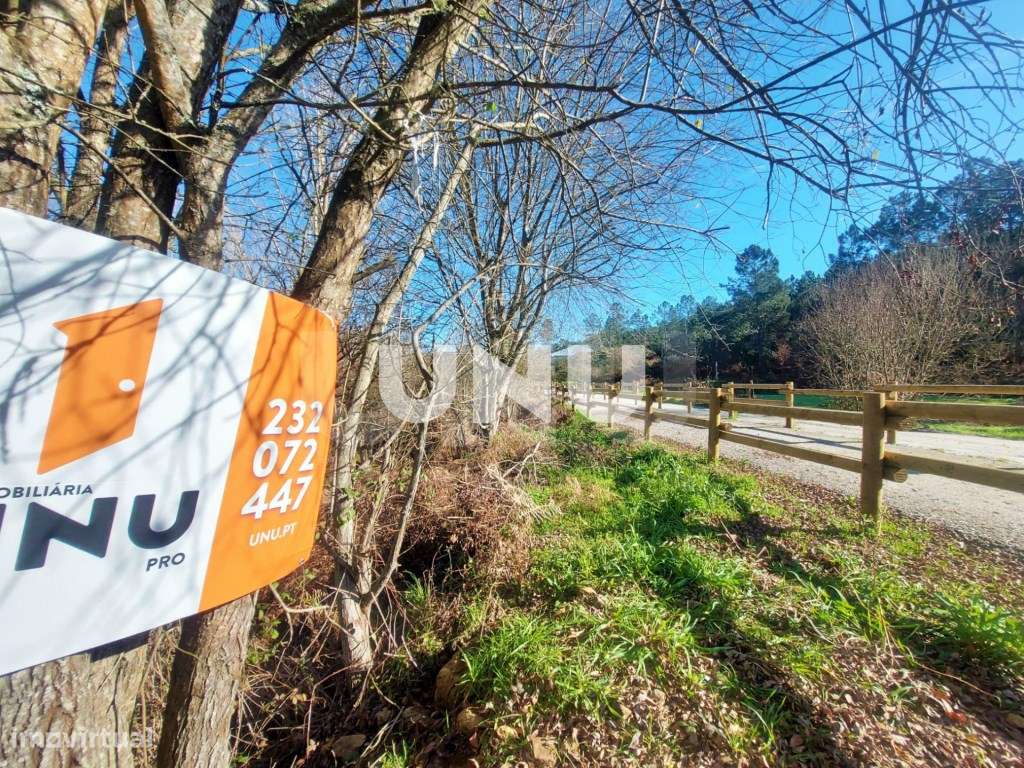 Terrenos Rústicos - Local Rodeado de Natureza - Grande imagem: 3/18