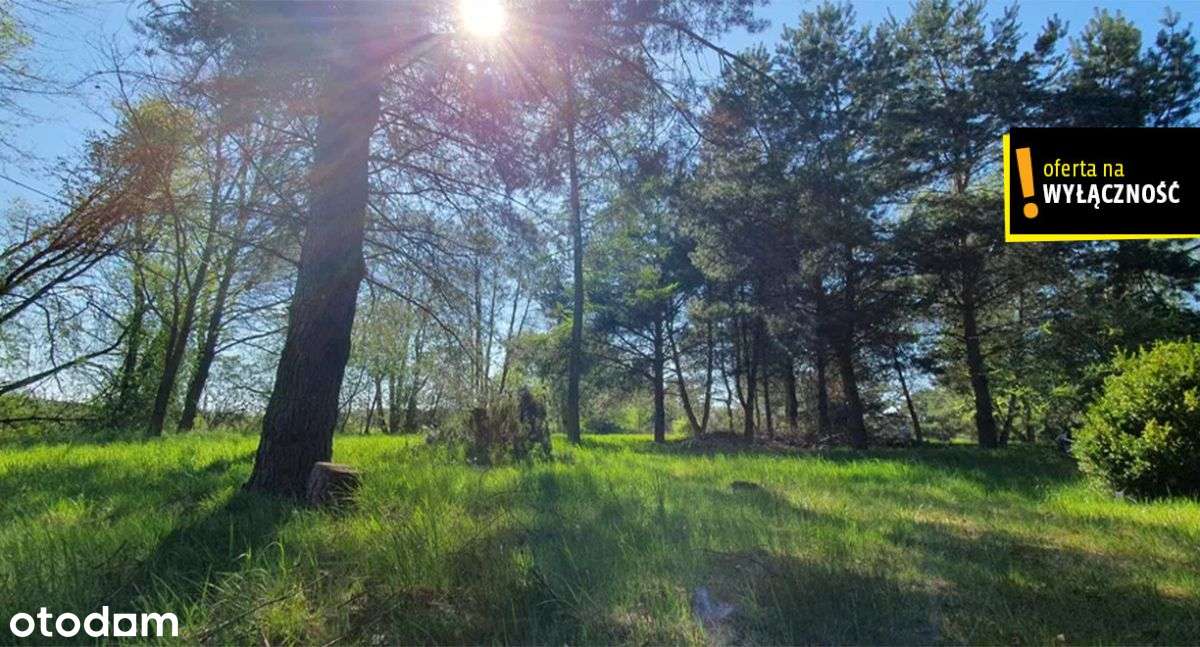 Działka budowlana z domkiem, rzeka, cisza, natura - Pełny obrazek: 4/18