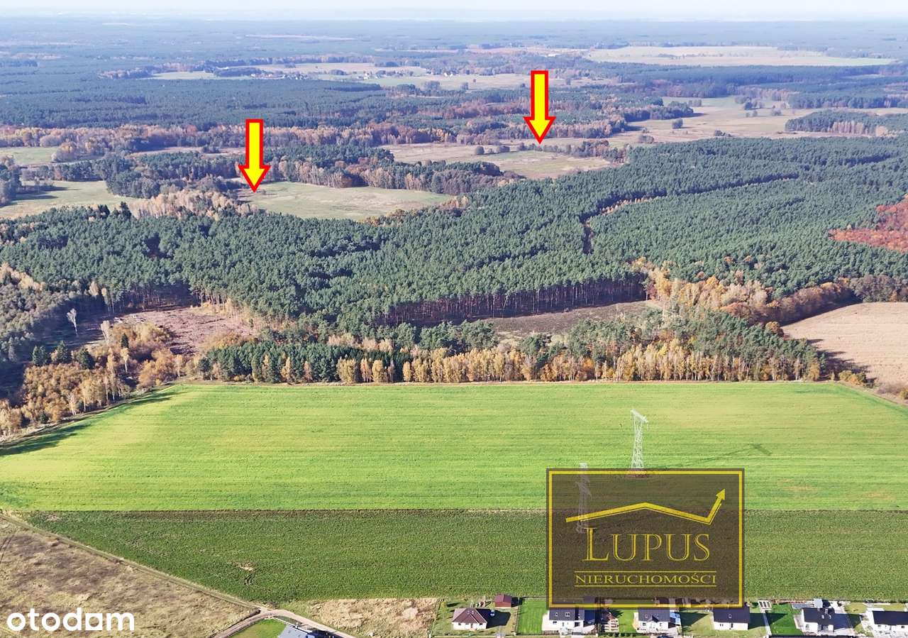 Działki w Grzędzicach-0