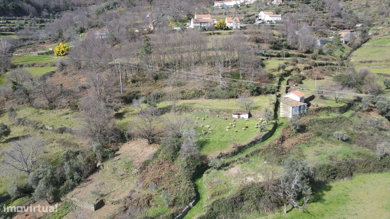 Quinta T4 para venda - Grande imagem: 4/4