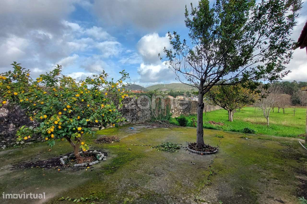 Quinta T4 com Terreno de 1.800 m² em Nogueira do Cravo-18
