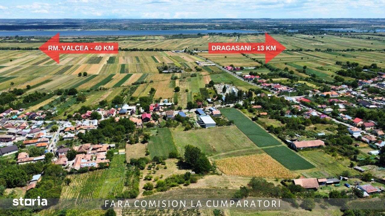 CRAMA - Oportunitate Unica in Domeniul Viticol-11