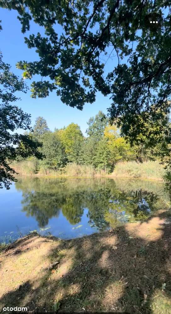 Hej!Baniocha ! NOWE MIESZKANIE W STANIE DEWELOPERSKIM – CESJA! - Pełny obrazek: 5/6