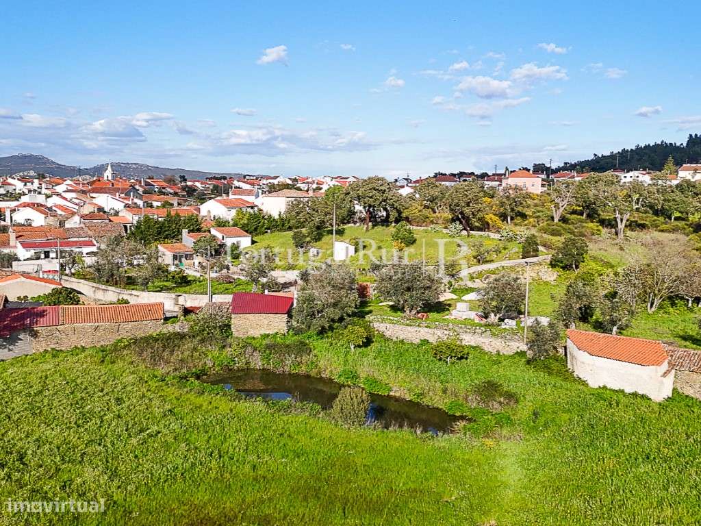 Quinta com Aptidão para Turismo - Grande imagem: 4/21