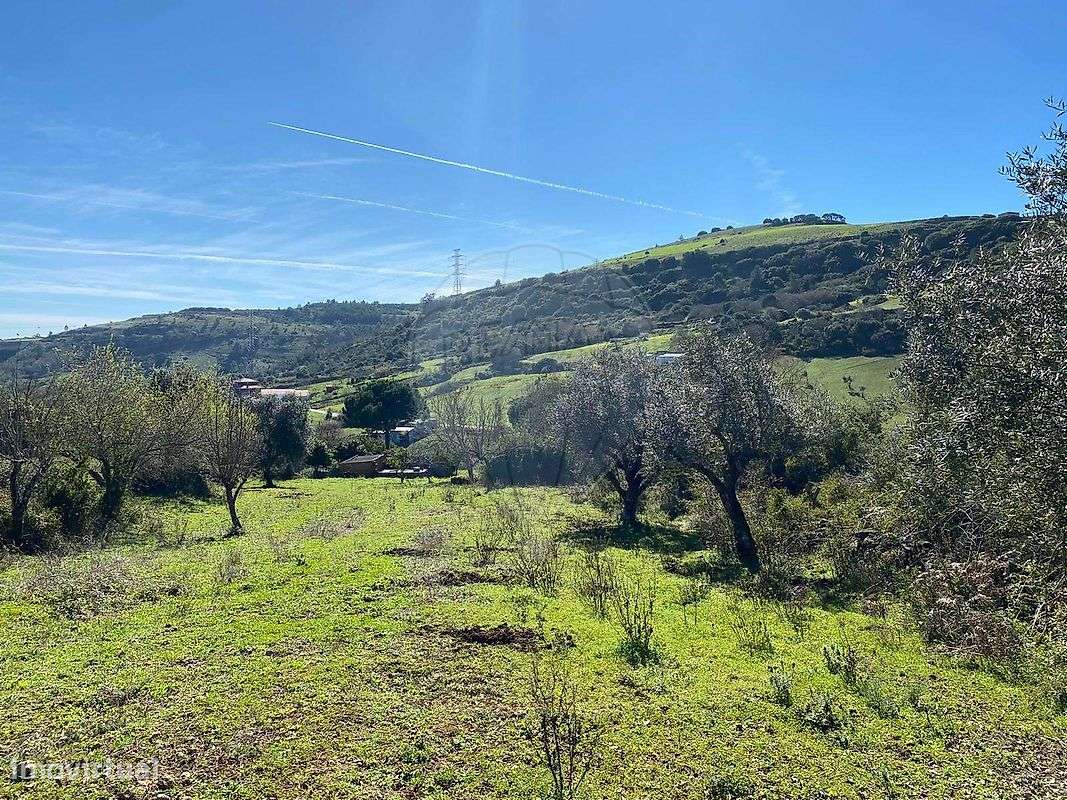 Terreno  para venda-4