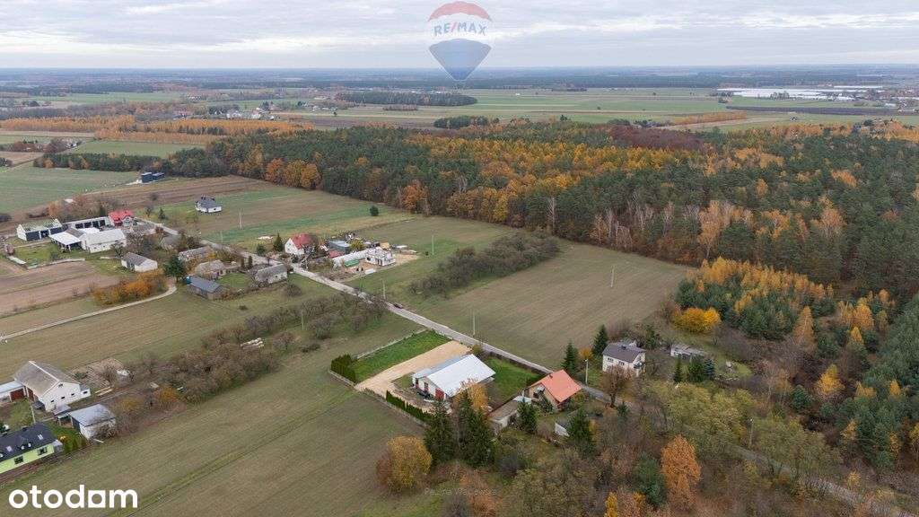 Działka pod lasem Załuski - Pełny obrazek: 5/9