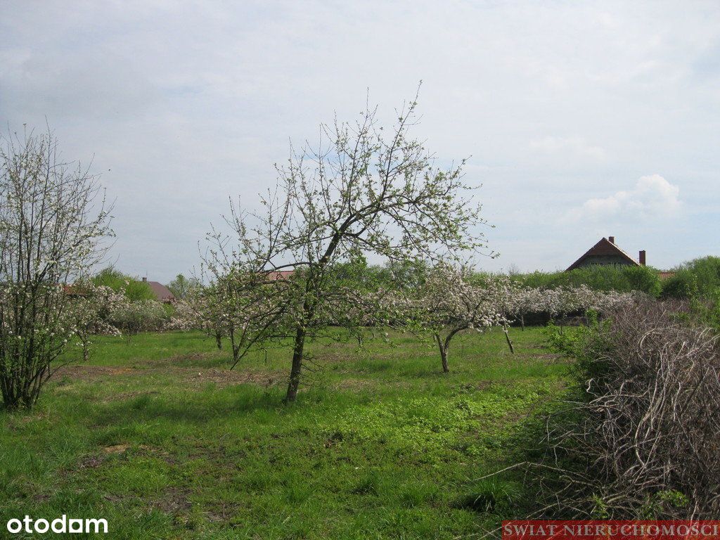 3900 Mkw Zabudowa Wielorodzinna