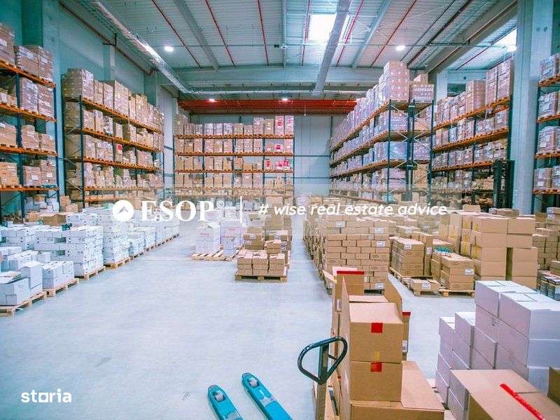 Hale de inchiriat Chitila, GLOBAL LOGISTIC PARK,  1.500 - 18.000mp - Imagine principală: 5/7