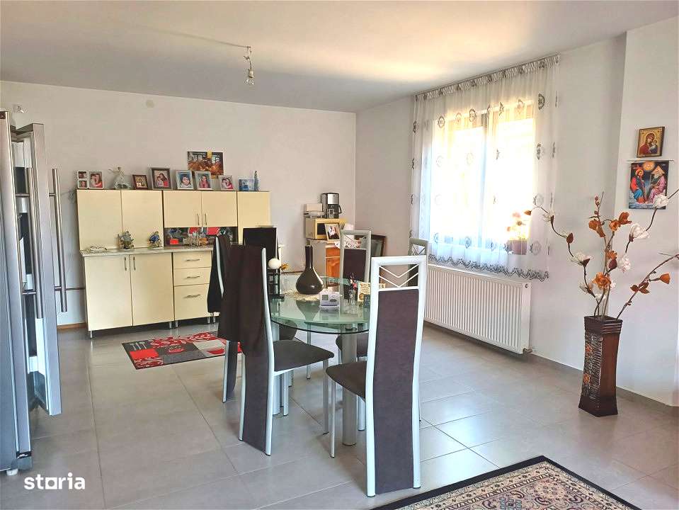 DOUA CASE DE VANZARE LA TALMACIU-4