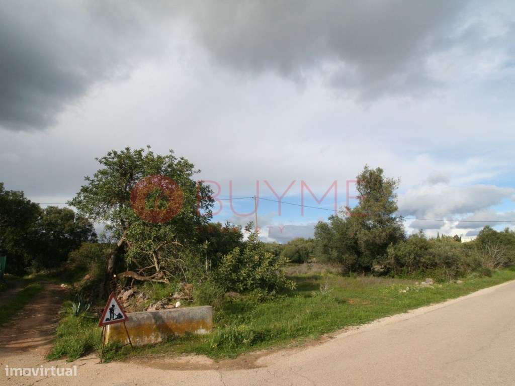 Terreno Rústico em Abelheira, Campina de Boliqueime - 6.507 m² de P... - Grande imagem: 2/4