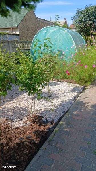 Super Dom Z Potencjałem Komercyjnym-13