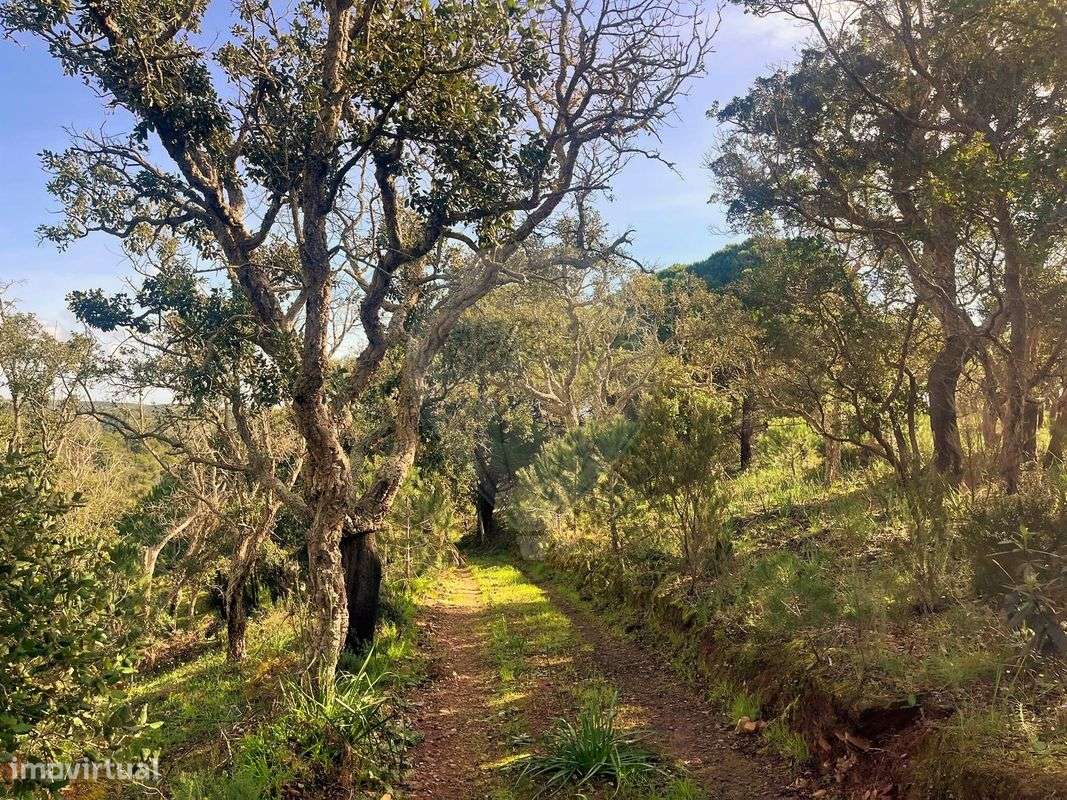 Terreno  para venda - Grande imagem: 5/8