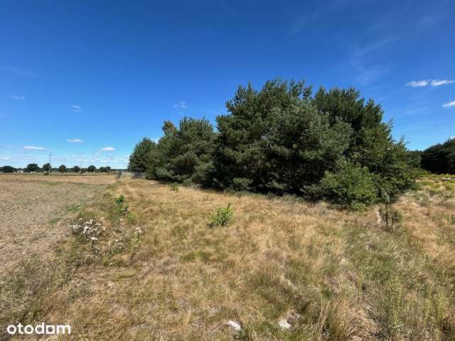 Działka budowlana 1301 m² – Łacha k. Serocka, blisko Narwi - Pełny obrazek: 5/9