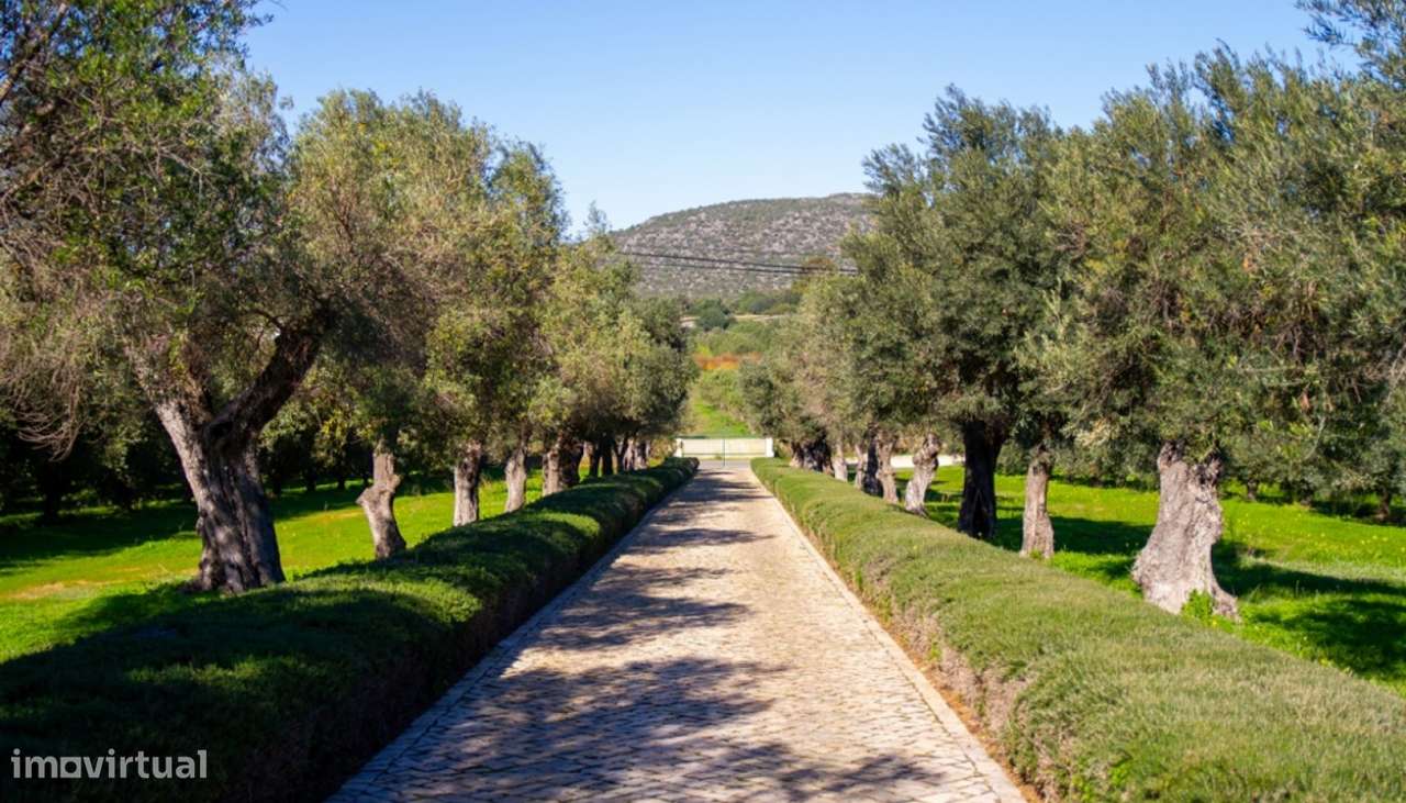 Fantástica propriedade, à venda em Moncarapacho, Algarve - Grande imagem: 2/37