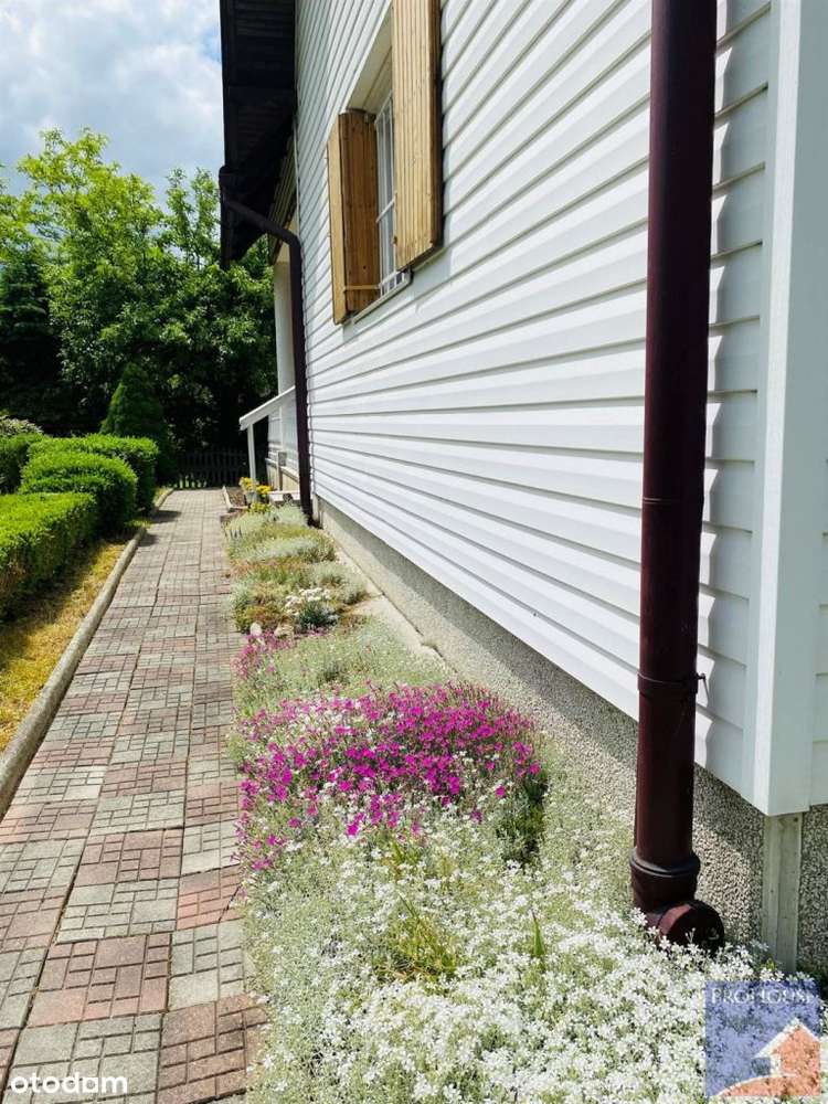 Dom jednorodzinny w spokojnej lokalizacji - Pełny obrazek: 5/20