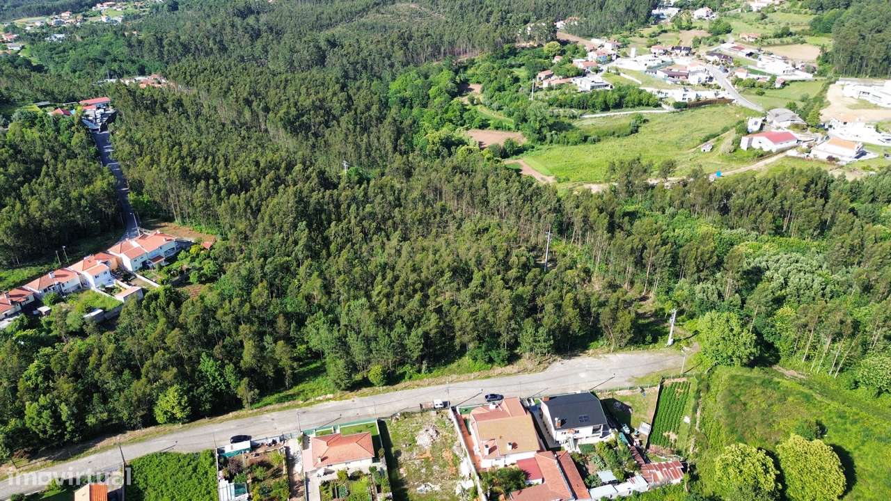 Terreno 14.275m2 - Vila Maior - Grande imagem: 2/6