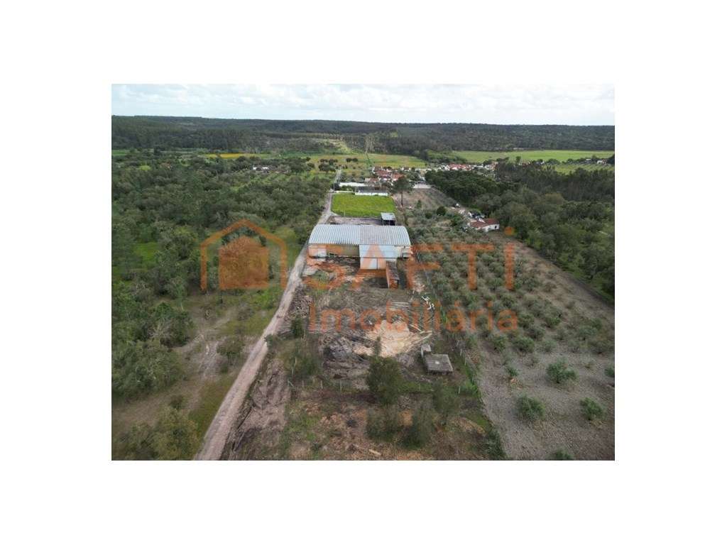 Armazem Industrial Gaviãozinho - Grande imagem: 5/24