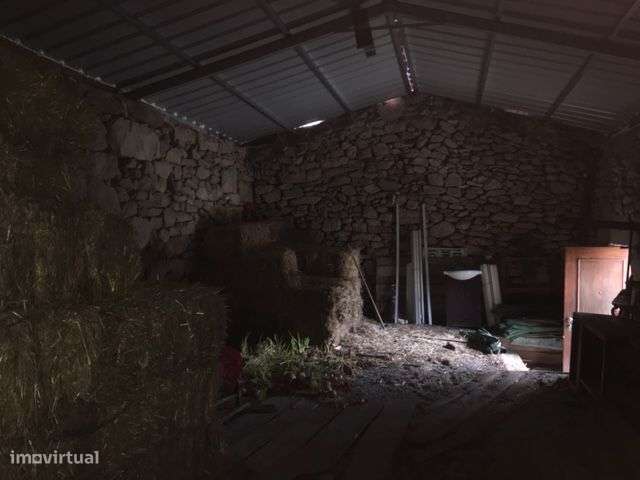 Chaves Vale de Anta-9