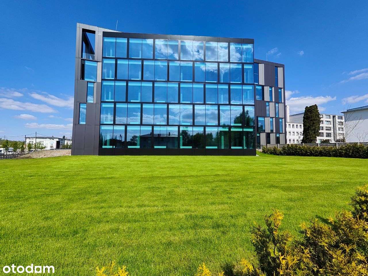 Bezpośrednio 50 i 70 i 100 A2 GÓRCZYN I GRUNWALD - Pełny obrazek: 3/9