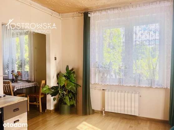 Mały zielony domek/domek gospodarczy/ duża działka-7