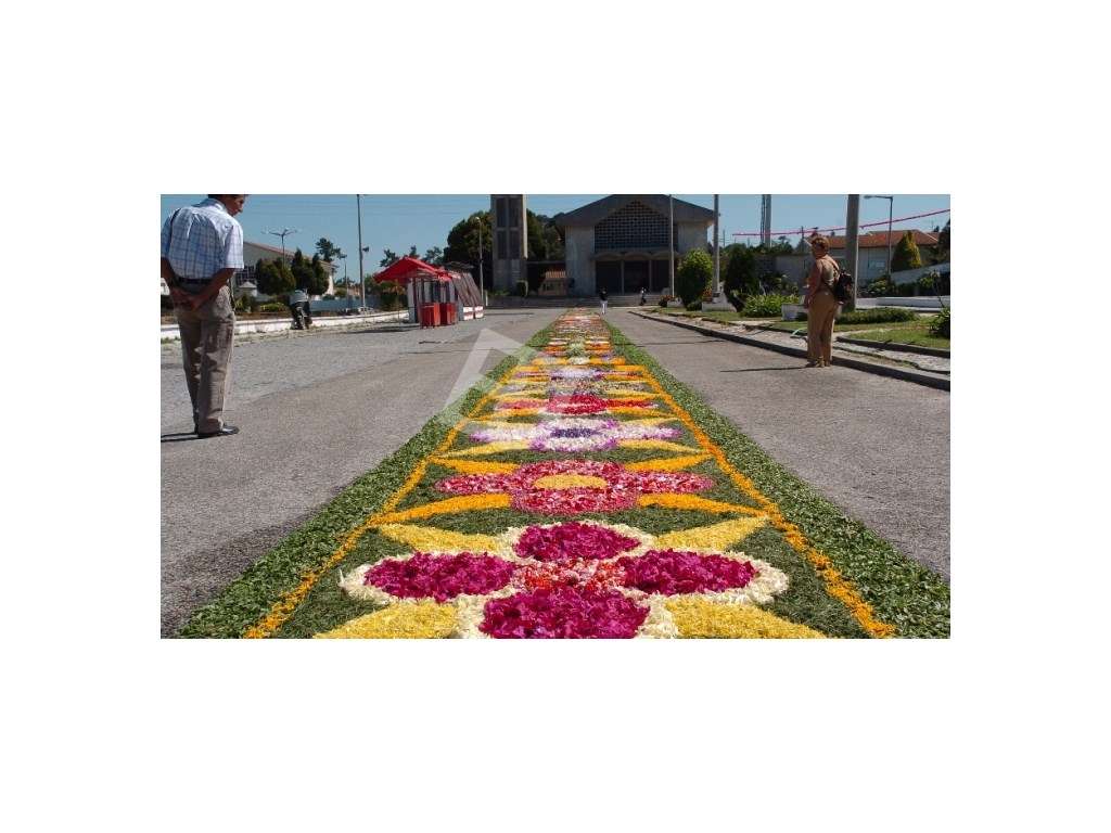 Moradia T4 isolada S. Bernardo junto as escolas - Grande imagem: 5/20