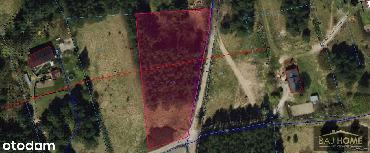 Wiewiórki działka na sprzedaż. - Pełny obrazek: 5/7