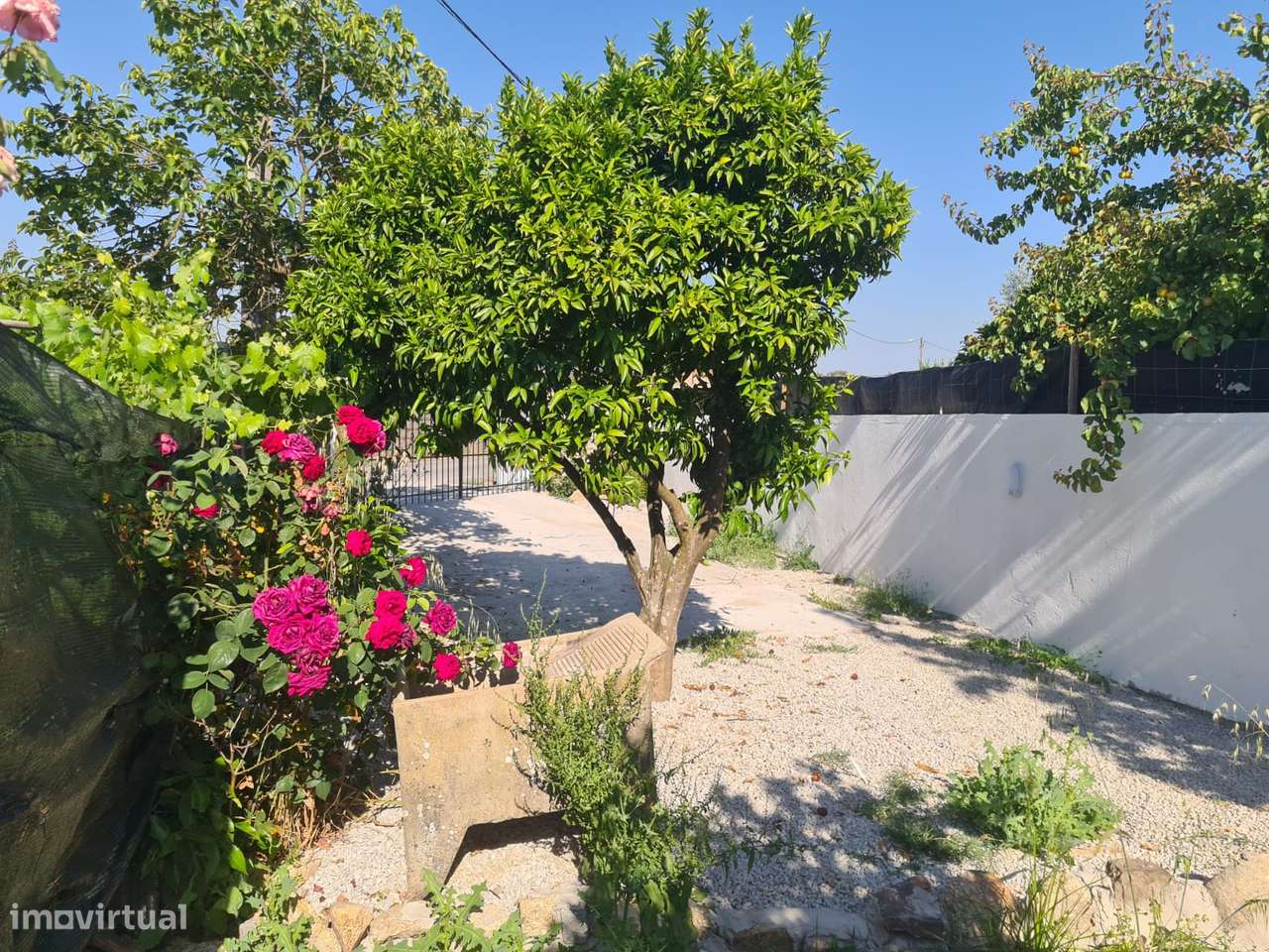 Moradia T3 Renovada Niza - Com Quintal-35