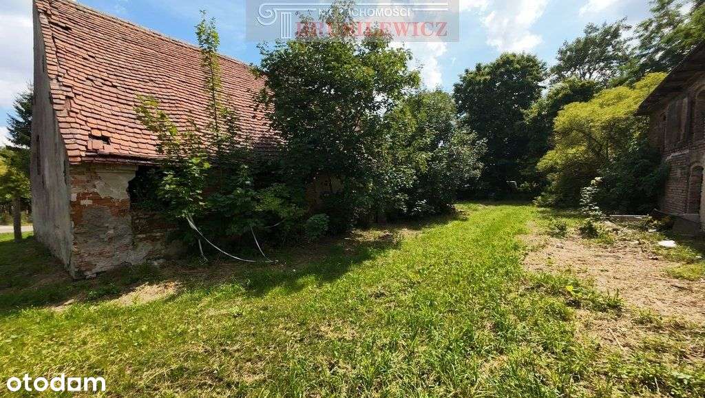 Dom, 14 000 m², Jarząbki - Pełny obrazek: 4/16