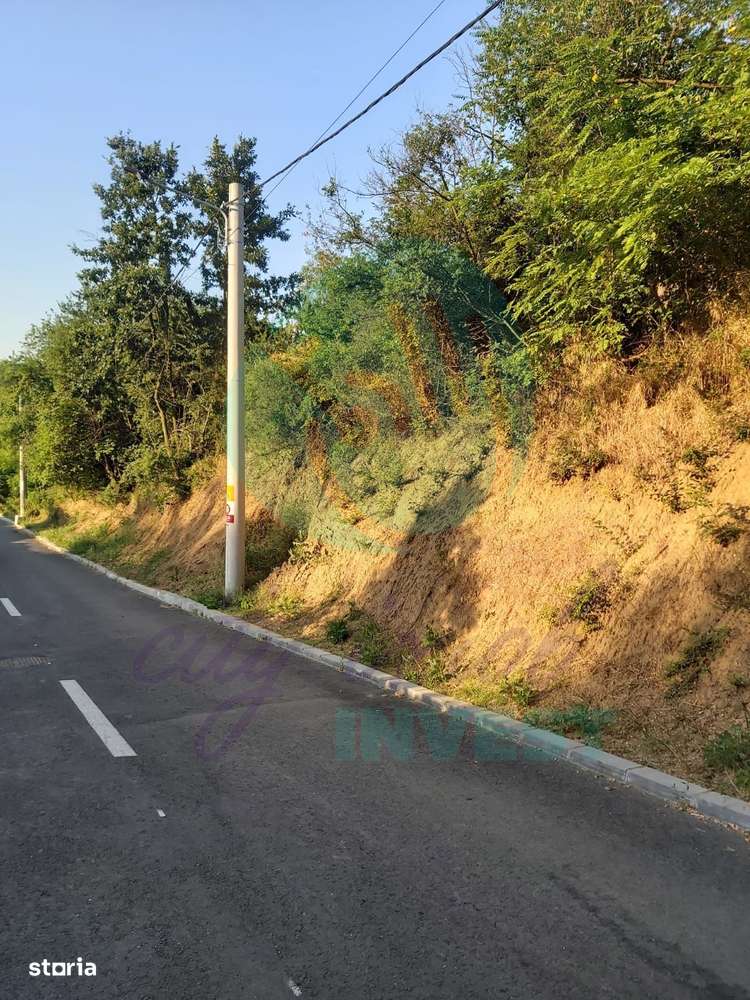 TEREN 1690 MP - ORAS STREHAIA - Imagine principală: 5/7