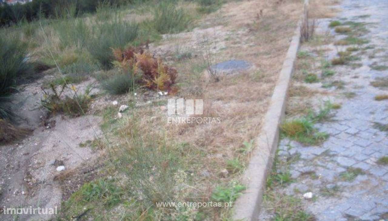 Venda Lote, Grilo, Baião - Grande imagem: 5/30