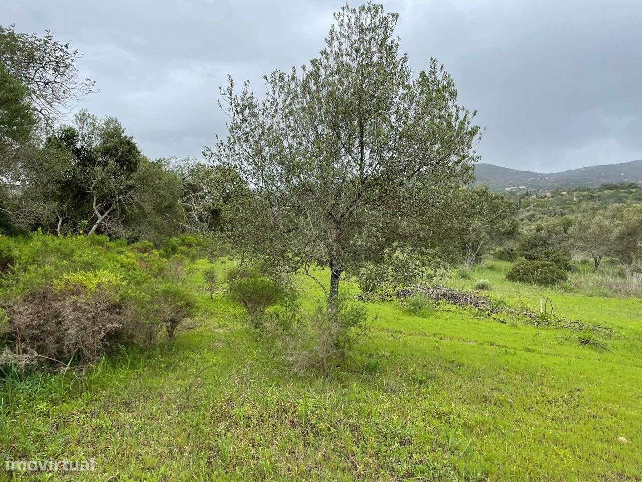 Terreno Rustico em torre Apra- Loule - Grande imagem: 2/13