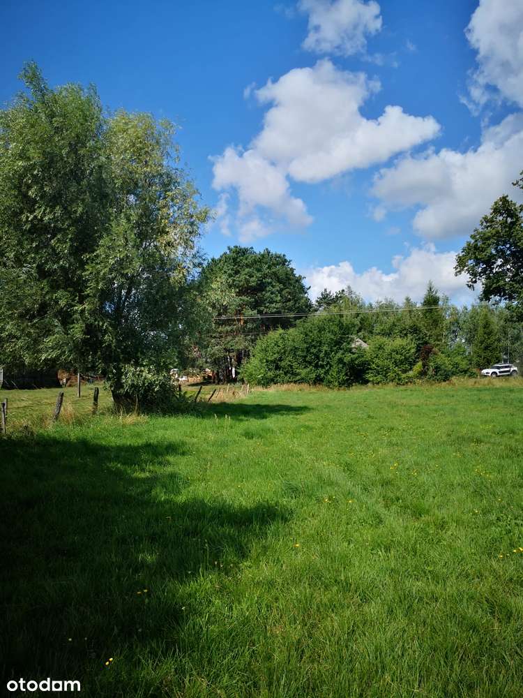 Marianowo g. Długosiodło I 3 działki I warunki zabudowy I pow. 2,06 ha-8