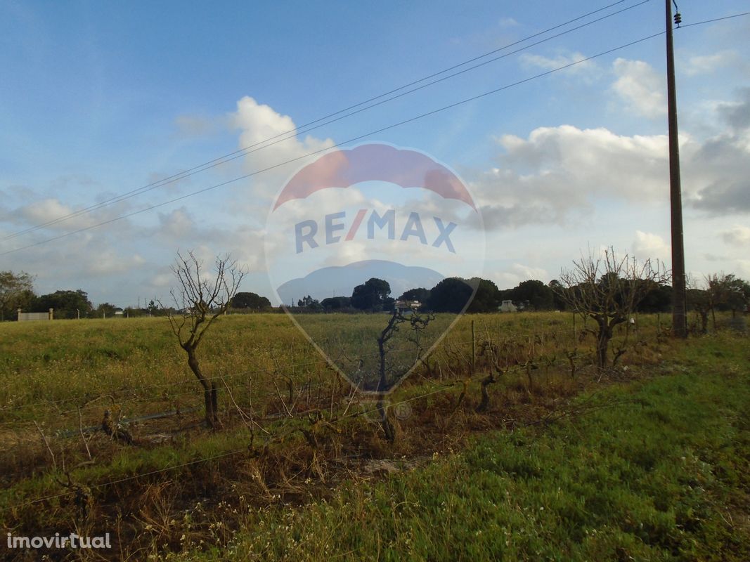 Terreno  para venda