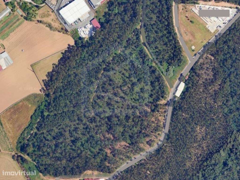 Terreno em S. Vicente de Pereira-5