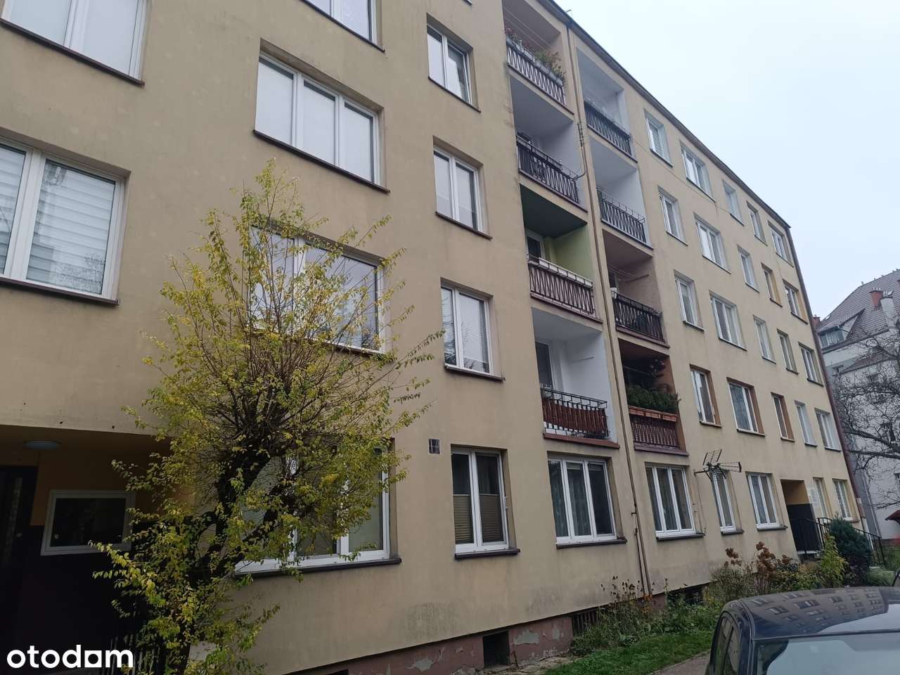 2 pokoje niezależne od zaraz  od zaraz-3