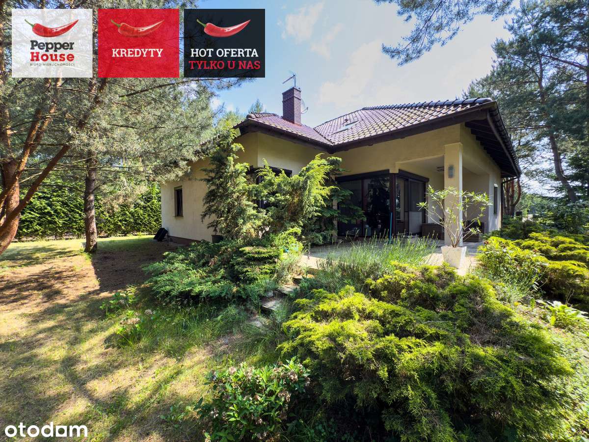 Prywatny azyl wśród drzew - Osielsko! - Pełny obrazek: 5/20