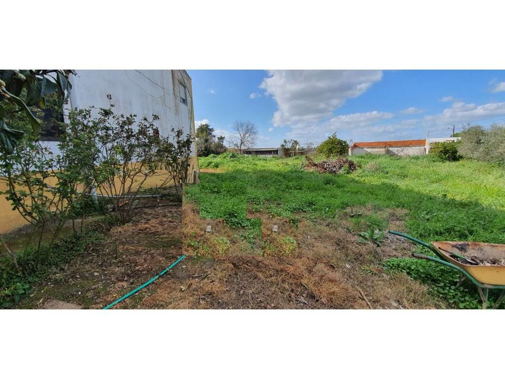 Moradia Isolada T4 com 2.200 m² de Terreno - Perto de Moura e do Al... - Grande imagem: 3/26