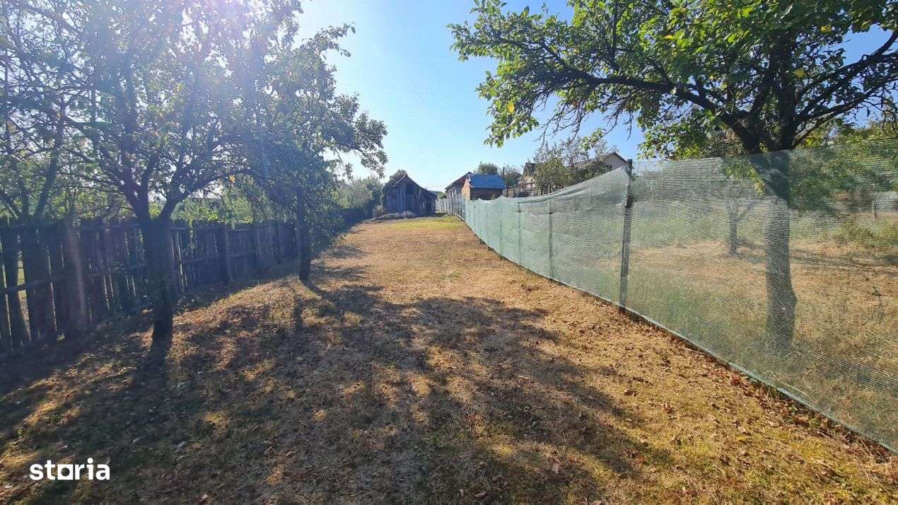 Teren Balotesti, suprafata = 908 mp - Imagine principală: 3/5