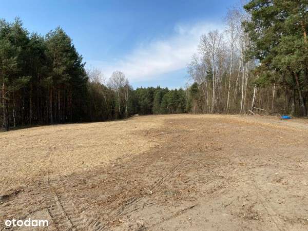 Atrakcyjne działki budowlane Staszów - Radzików - Pełny obrazek: 5/9