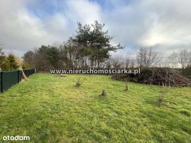 Dom wolnostojący Bełsznica 110 m2-6